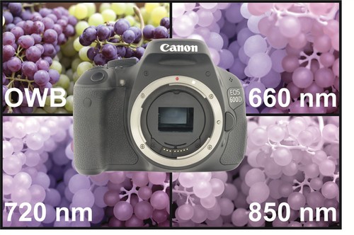 Canon eos 600d - 600d, fotocamera