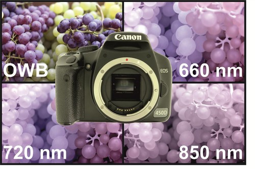 Canon eos 450d fotocamera - canon,